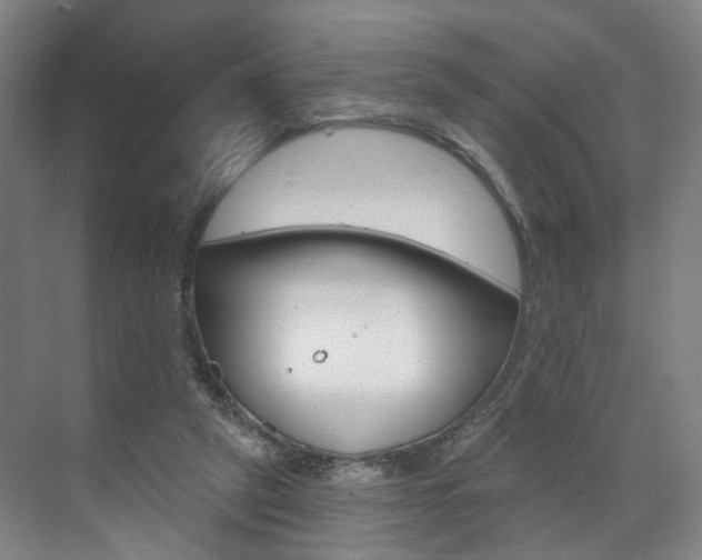 X0000071850257200606301137