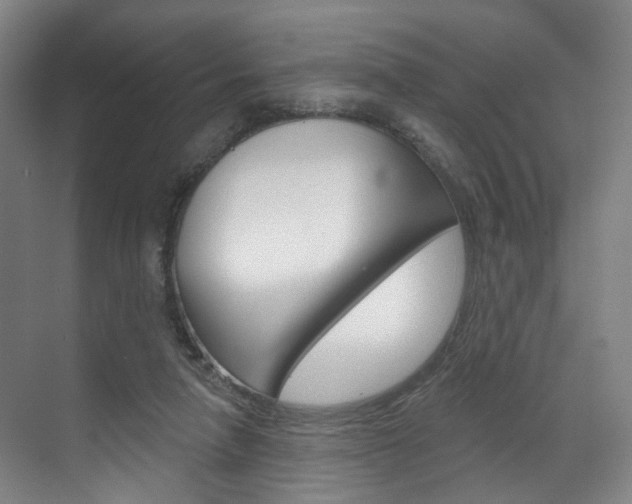 X0000071850258200606301137