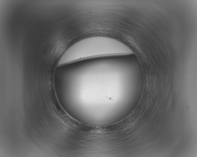 X0000071850259200606301137