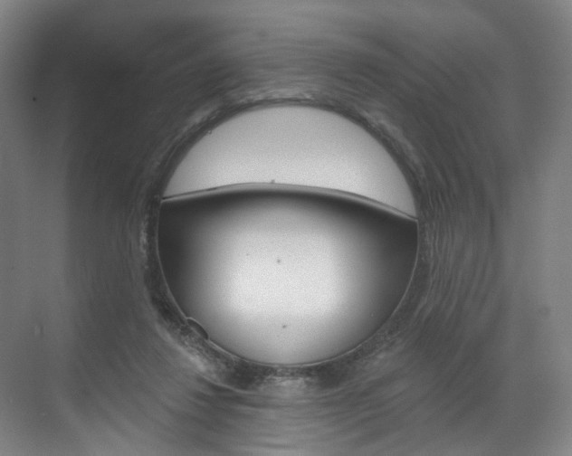 X0000071850260200606301137