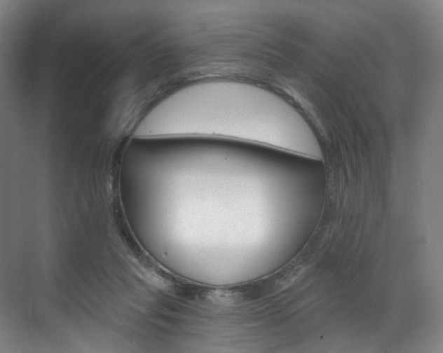 X0000071850261200606301137