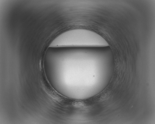 X0000071850262200606301137