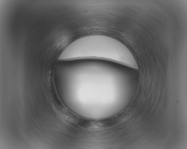 X0000071850263200606301137