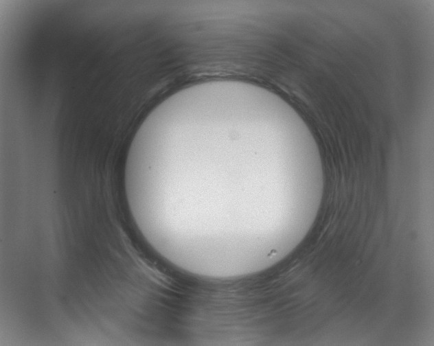 X0000071850264200606301137