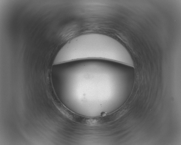 X0000071850265200606301137