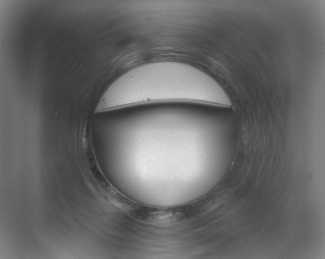 X0000071850267200606301137