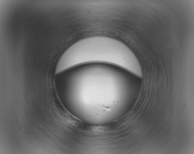 X0000071850268200606301137