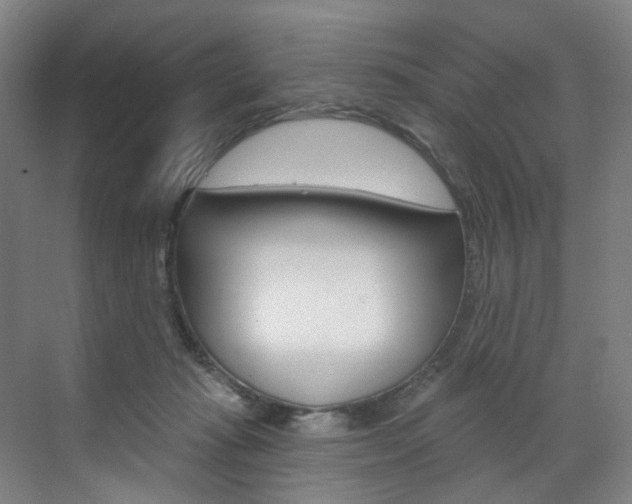 X0000071850269200606301137