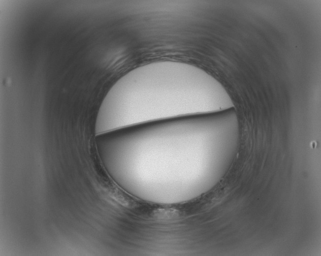 X0000071850271200606301137