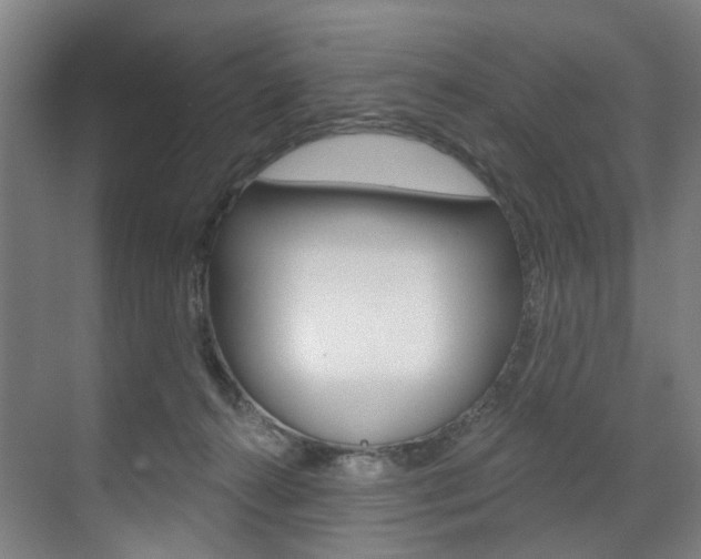 X0000071850272200606301137