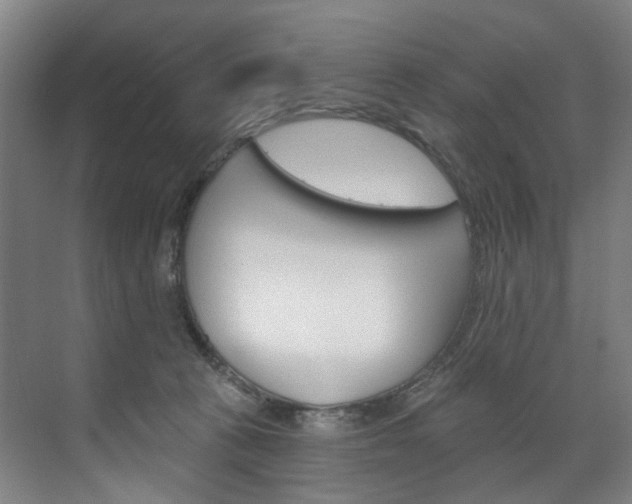 X0000071850273200606301137