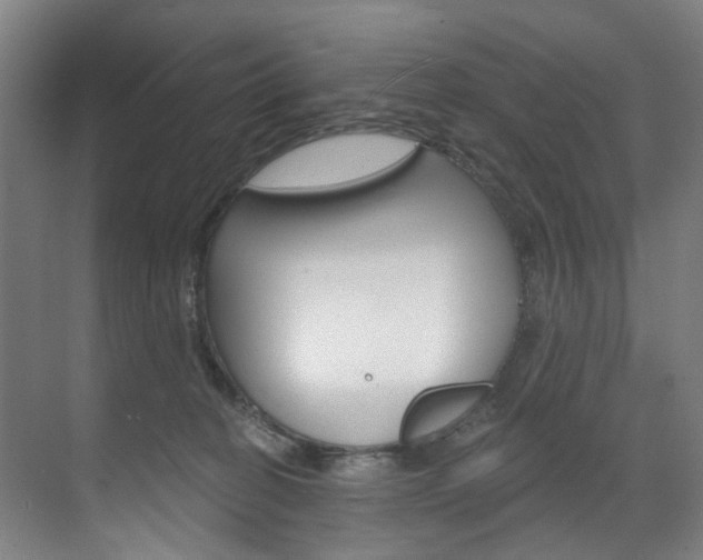 X0000071850274200606301137