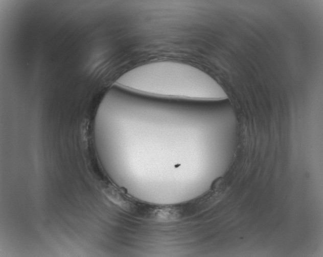 X0000071850275200606301137