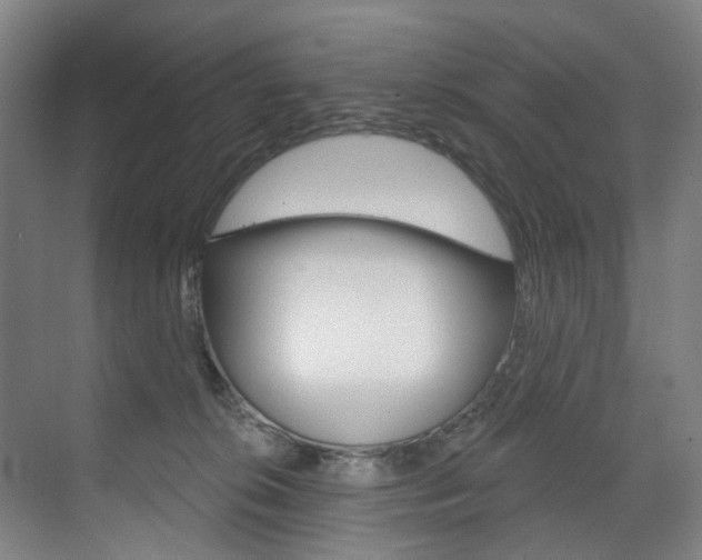 X0000071850276200606301137