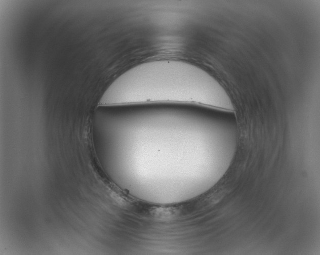 X0000071850277200606301137