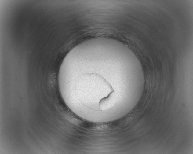 X0000071850278200606301137