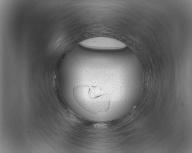 X0000071850279200606301138