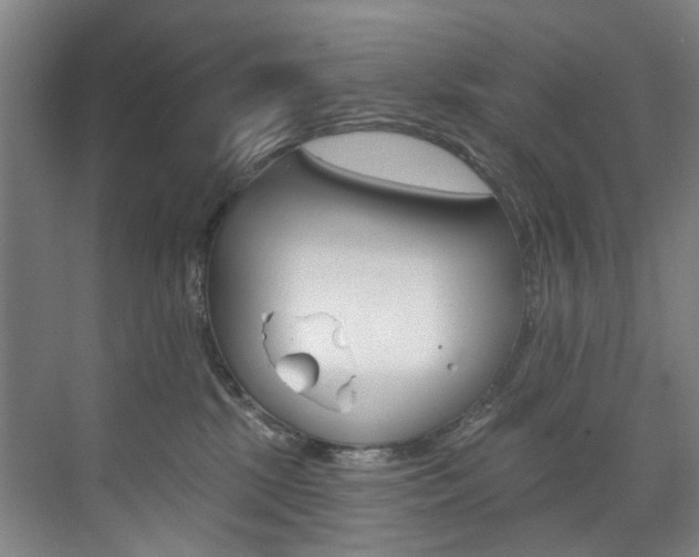 X0000071850281200606301138