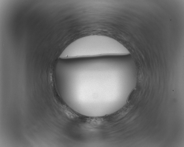 X0000071850282200606301138