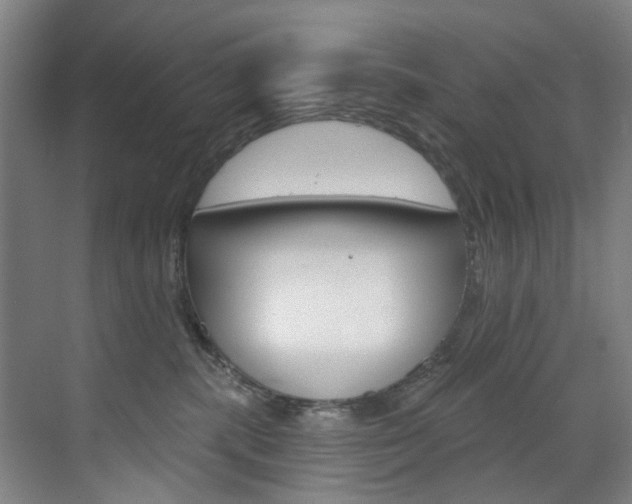 X0000071850283200606301138