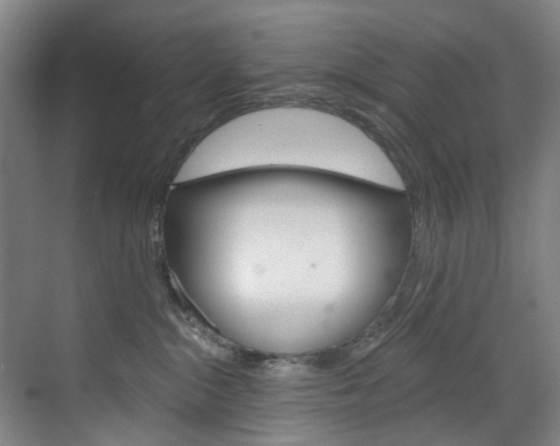 X0000071850284200606301138