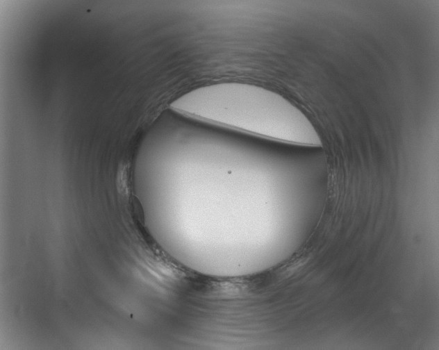 X0000071850286200606301138