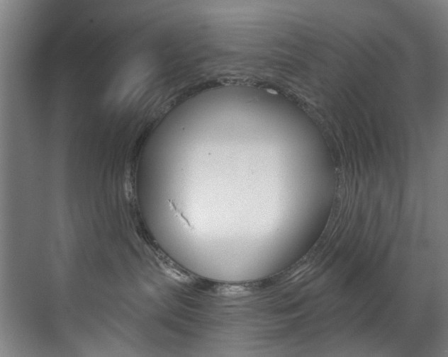 X0000071850287200606301138