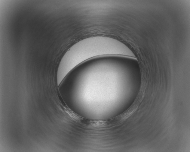 X0000071850288200606301138