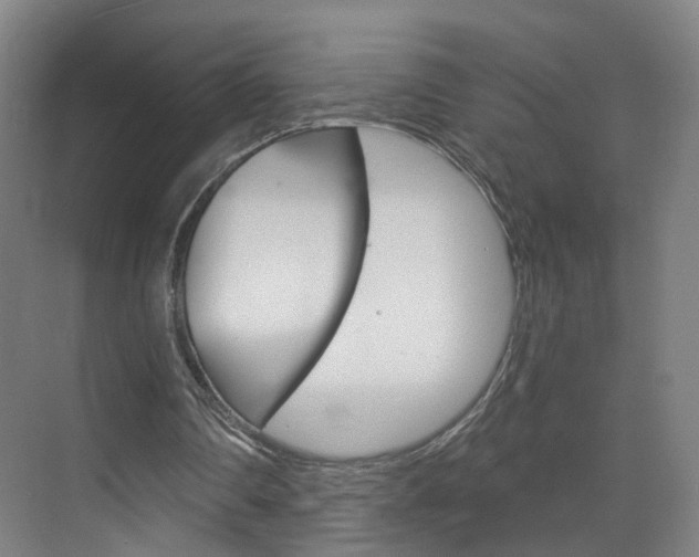 X0000071850290200606301137