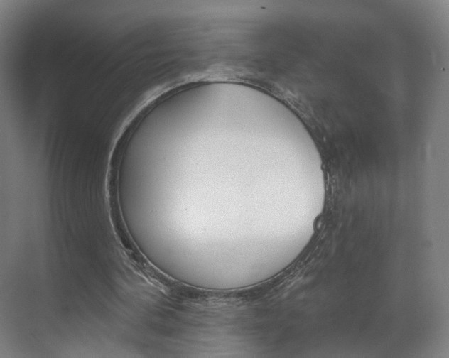 X0000071850292200606301137