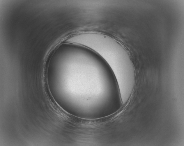 X0000071850293200606301137