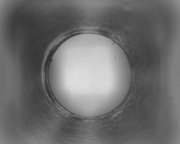 X0000071850294200606301137