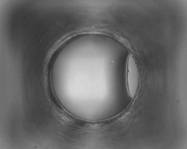 X0000071850295200606301137