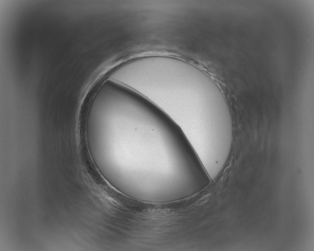 X0000071850296200606301137