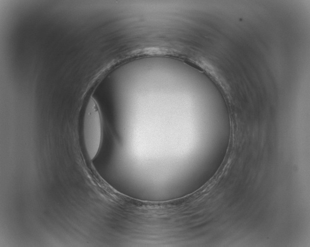 X0000071850297200606301137