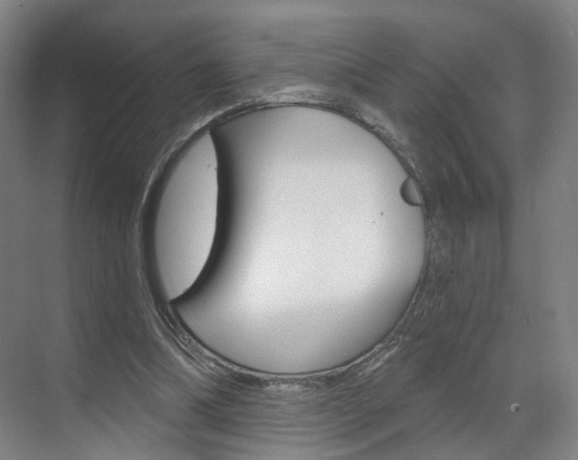 X0000071850298200606301137