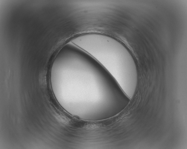 X0000071850299200606301137