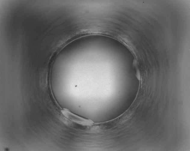 X0000071850301200606301137