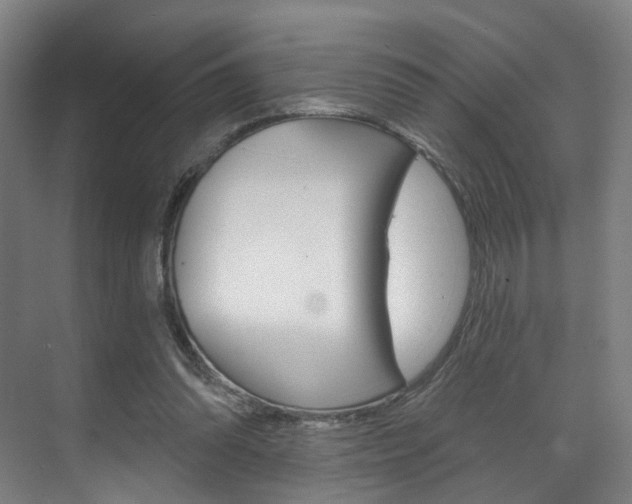 X0000071850302200606301137