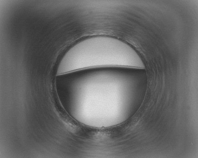 X0000071850303200606301137