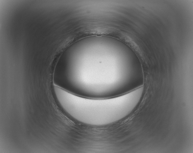 X0000071850305200606301137