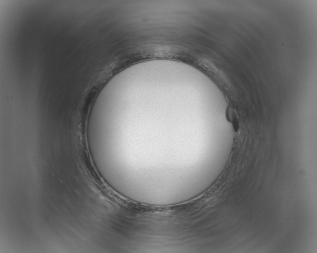 X0000071850306200606301137