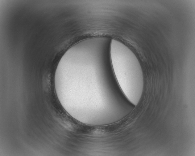 X0000071850308200606301137