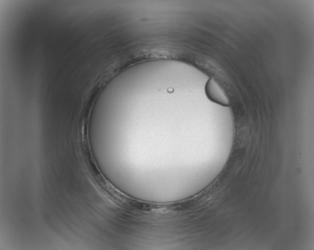 X0000071850310200606301136