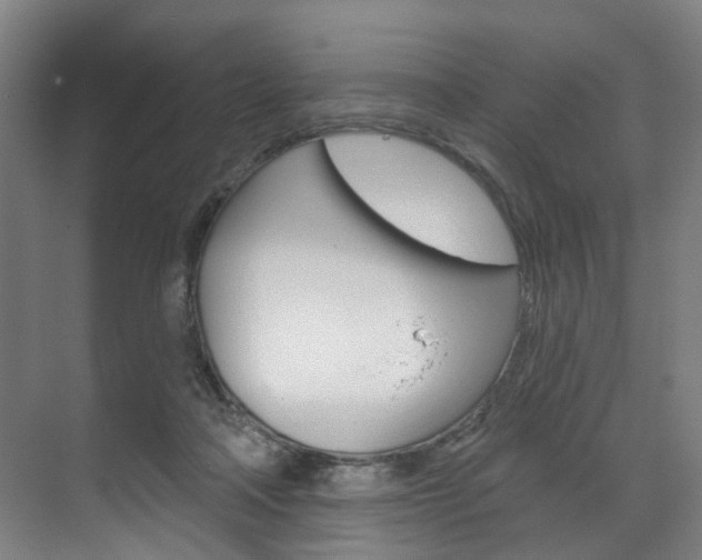 X0000071850314200606301136