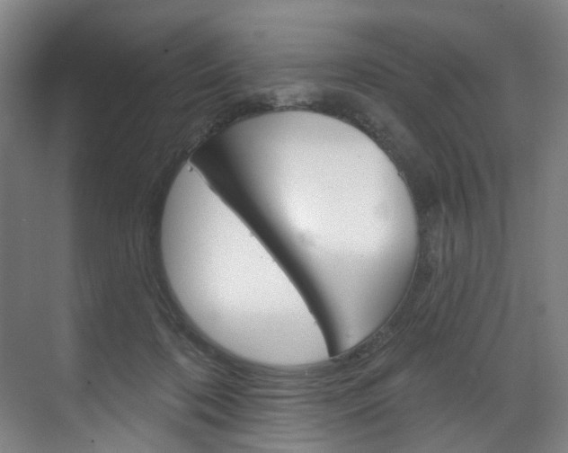 X0000071850316200606301136