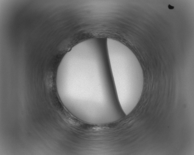 X0000071850323200606301136