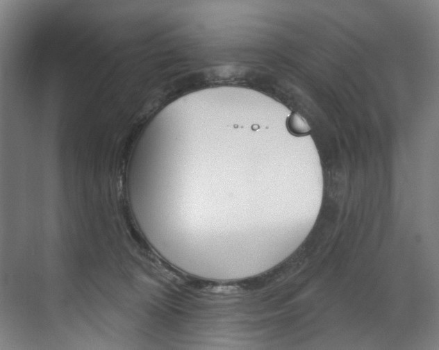 X0000071850324200606301136