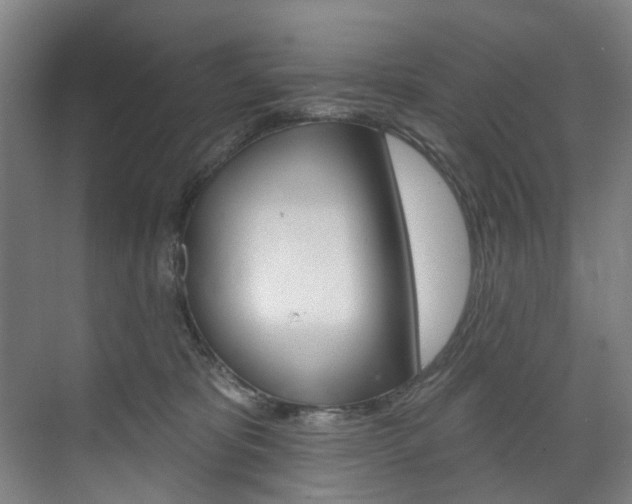 X0000071850325200606301136