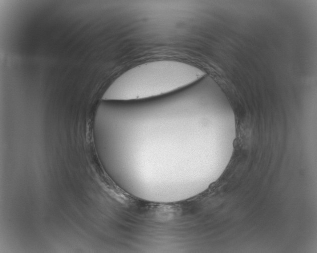 X0000071850330200606301136